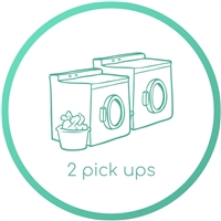 Year-long Laundry Service - Pick-up Twice a Week